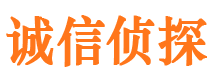 攀枝花市调查公司